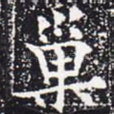 巢