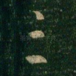 三