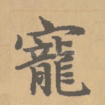 宠