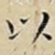 以