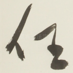 任