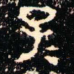 子