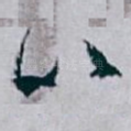 以