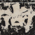尚
