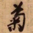 菊