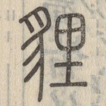 狸