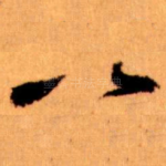 八