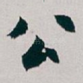 公