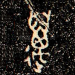 邁