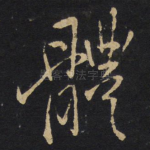 体