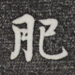 肥