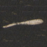 一