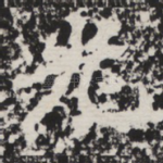 光