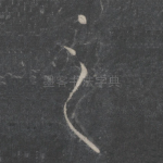 之