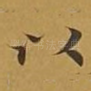 以