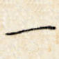 一