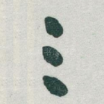 三