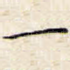 一