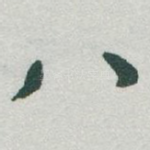 八