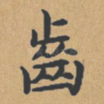 齿