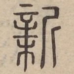新
