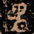 卑