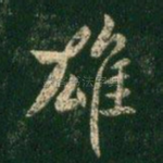 雄