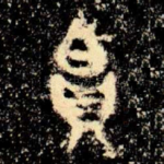 帛