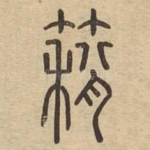 䈾