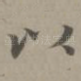 以