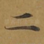 二
