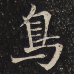 鸟