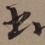 书