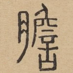 胆