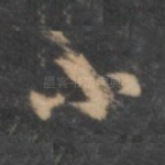 小