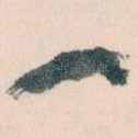 一