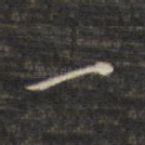 一