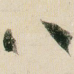 八