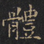 体