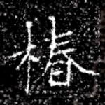 椿