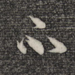 不