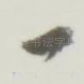 一
