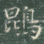 鹍