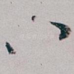 八