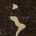 足