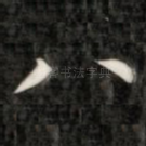 八