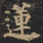 莲