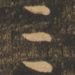 三