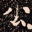 公
