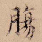 肠